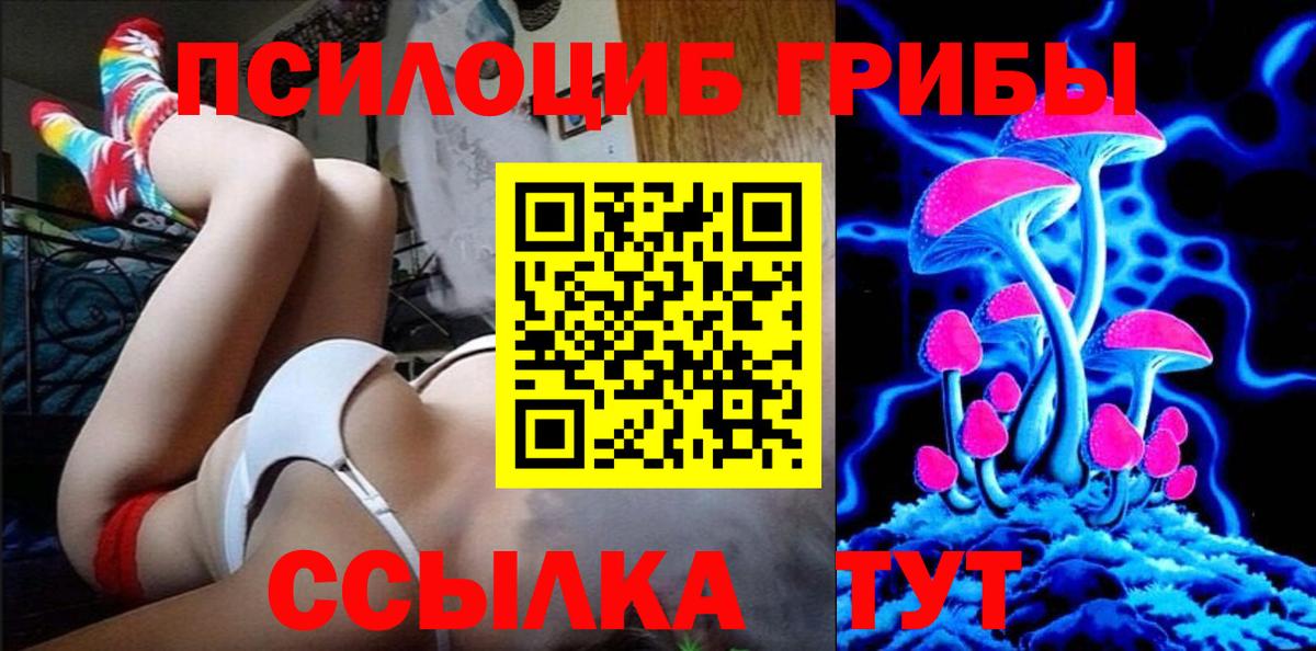 Ефремов  Псилоцибиновые грибы Magic Shrooms  Вход с VPN 