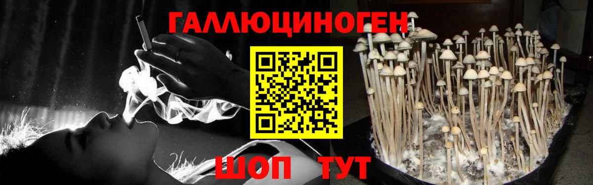 Псилоцибиновые грибы мицелий Ефремов